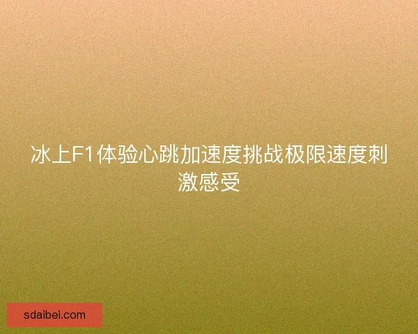 冰上F1体验心跳加速度挑战极限速度刺激感受 冰上F1体验心跳加速度挑战极限速度刺激感受
