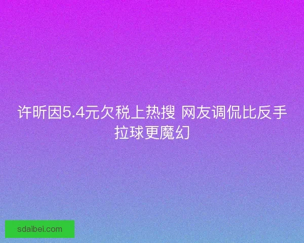 许昕因5.4元欠税上热搜 网友调侃比反手拉球更魔幻